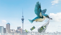331,000 Aucklanders receive $350 Entrust dividend this week